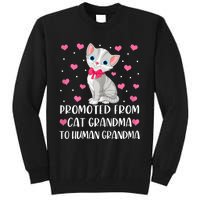 Womens Promoted From Cat Grandma To Human Grandma Funny Cat Tall Sweatshirt