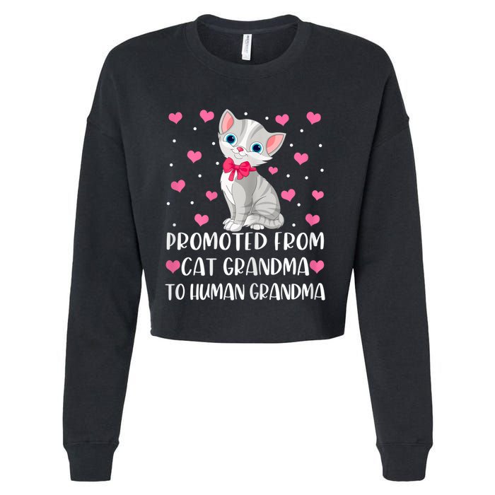 Womens Promoted From Cat Grandma To Human Grandma Funny Cat Cropped Pullover Crew