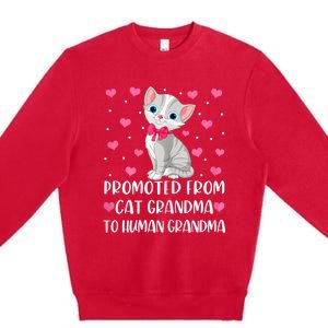 Womens Promoted From Cat Grandma To Human Grandma Funny Cat Premium Crewneck Sweatshirt