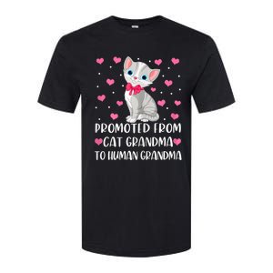 Womens Promoted From Cat Grandma To Human Grandma Funny Cat Softstyle CVC T-Shirt