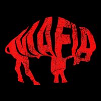 Wny Pride Faded Red Buffalo Womens T-Shirt