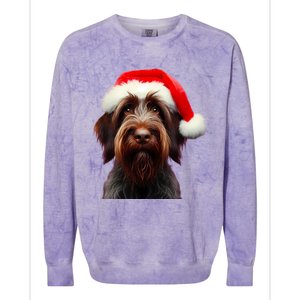 Wirehaired Pointing Griffon With Santa Hat Christmas Dog Mom Gift Colorblast Crewneck Sweatshirt