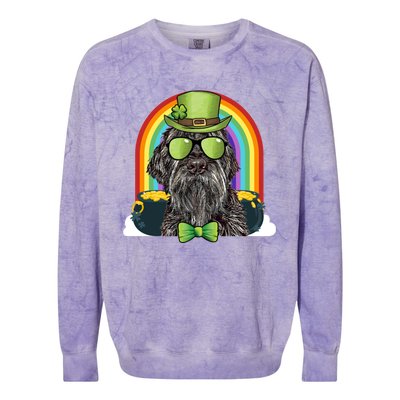 Wirehaired Pointing Griffon Dog Funny St Patricks Day Gift Colorblast Crewneck Sweatshirt