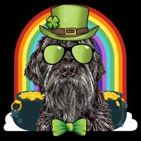 Wirehaired Pointing Griffon Dog Funny St Patricks Day Gift Youth Performance Sprint T-Shirt