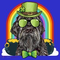 Wirehaired Pointing Griffon Dog Funny St Patricks Day Gift Visor