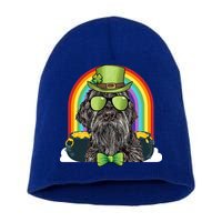 Wirehaired Pointing Griffon Dog Funny St Patricks Day Gift Short Acrylic Beanie