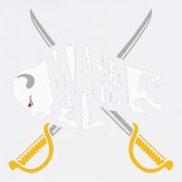 WNY Pride Gray White Yellow Buffalo Adult Drive Performance Visor
