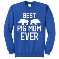 Wild Pig Hunting Best Pig Mom Ever Gift Tall Sweatshirt