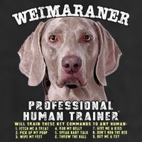 Weimaraner Professional Human Trainer Cute Dog 7 Panel Mesh Trucker Snapback Hat