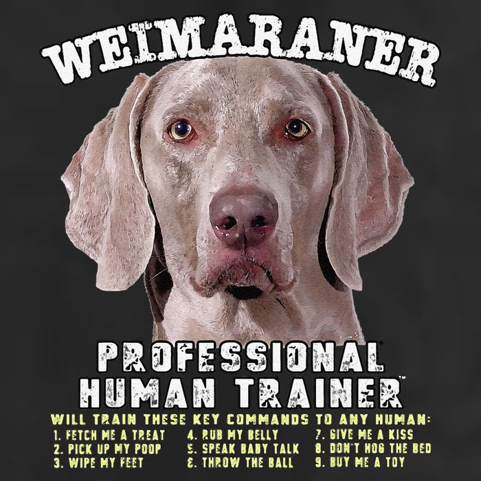 Weimaraner Professional Human Trainer Cute Dog 7 Panel Mesh Trucker Snapback Hat