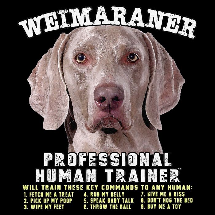 Weimaraner Professional Human Trainer Cute Dog Toddler T-Shirt
