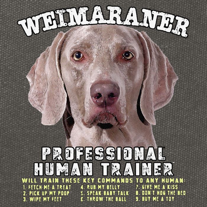 Weimaraner Professional Human Trainer Cute Dog Cotton Canvas Backpack