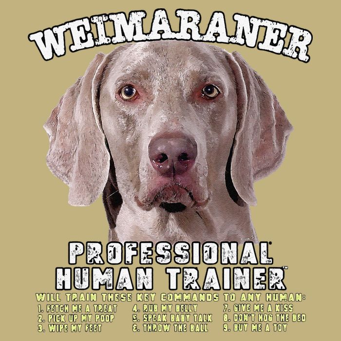 Weimaraner Professional Human Trainer Cute Dog T-Shirt