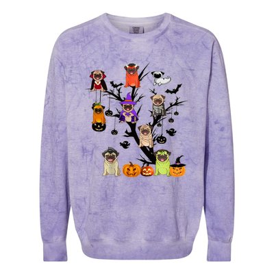 Witches Pug Mummy Pug Dracula Vampire Pug Halloween Tree Cute Gift Colorblast Crewneck Sweatshirt