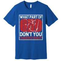 What Part Of Hockey DonT You Understand Ice Winter Sports Cute Gift Premium T-Shirt