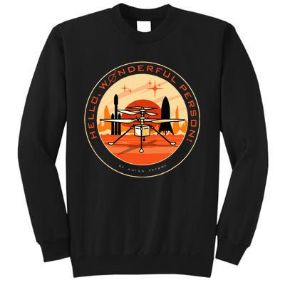 Wonderful Person On Mars Sweatshirt