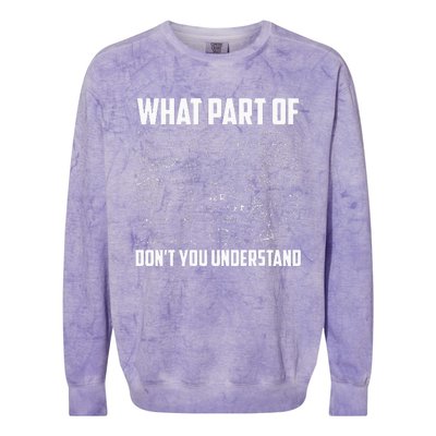 What Part Of Dont You Understand Funny Math Teacher Gift Colorblast Crewneck Sweatshirt