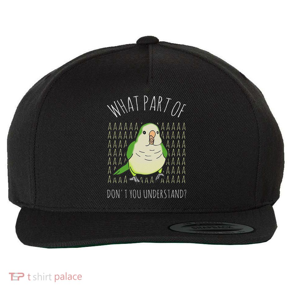 What Part Of Aaaaa Don't You Understand Green Quaker Parrot Wool Snapback Cap