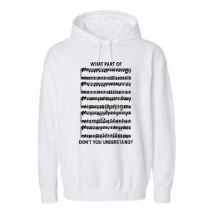 What Part Of The Music Notes You Don't Understand Musician Gift Garment-Dyed Fleece Hoodie