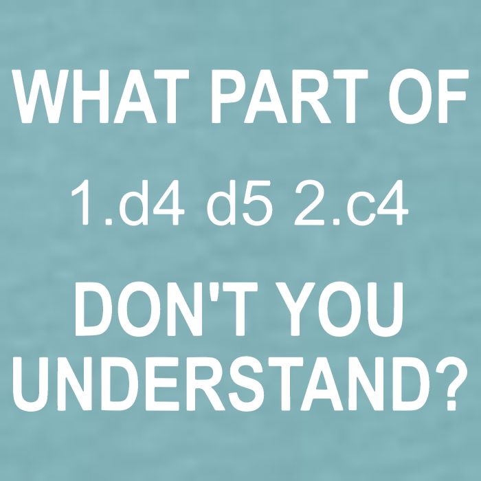 What Part Of Chess Move Don't You Understand Chess Gifts Sueded Cloud Jersey T-Shirt