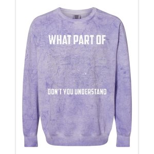 What Part Of DonT You Understand Funny Math Teacher Gift Colorblast Crewneck Sweatshirt