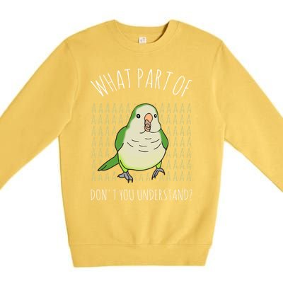 What Part Of Aaaaa Don&X27;T You Understand Green Quaker Premium Crewneck Sweatshirt