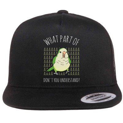 What Part Of Aaaaa Don&X27;T You Understand Green Quaker Flat Bill Trucker Hat