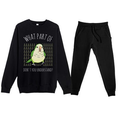 What Part Of Aaaaa Don&X27;T You Understand Green Quaker Premium Crewneck Sweatsuit Set