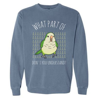 What Part Of Aaaaa Don&X27;T You Understand Green Quaker Garment-Dyed Sweatshirt