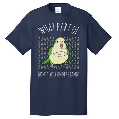 What Part Of Aaaaa Don&X27;T You Understand Green Quaker Tall T-Shirt