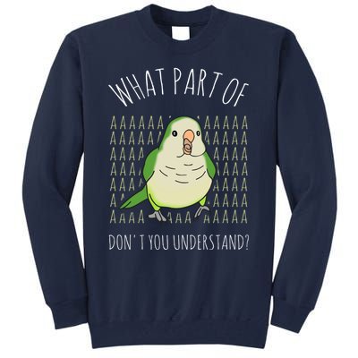 What Part Of Aaaaa Don&X27;T You Understand Green Quaker Tall Sweatshirt