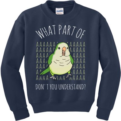 What Part Of Aaaaa Don&X27;T You Understand Green Quaker Kids Sweatshirt