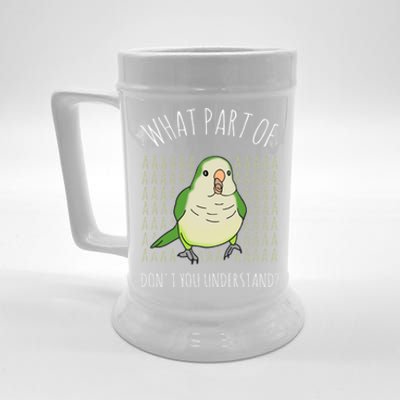 What Part Of Aaaaa Don&X27;T You Understand Green Quaker Beer Stein