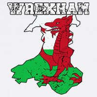 Wrexham Pride Of Wales Welsh Dragon Football Fan Bucket Hat