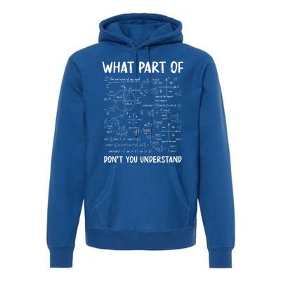 What Part Of Don't You Understand Gift Premium Hoodie