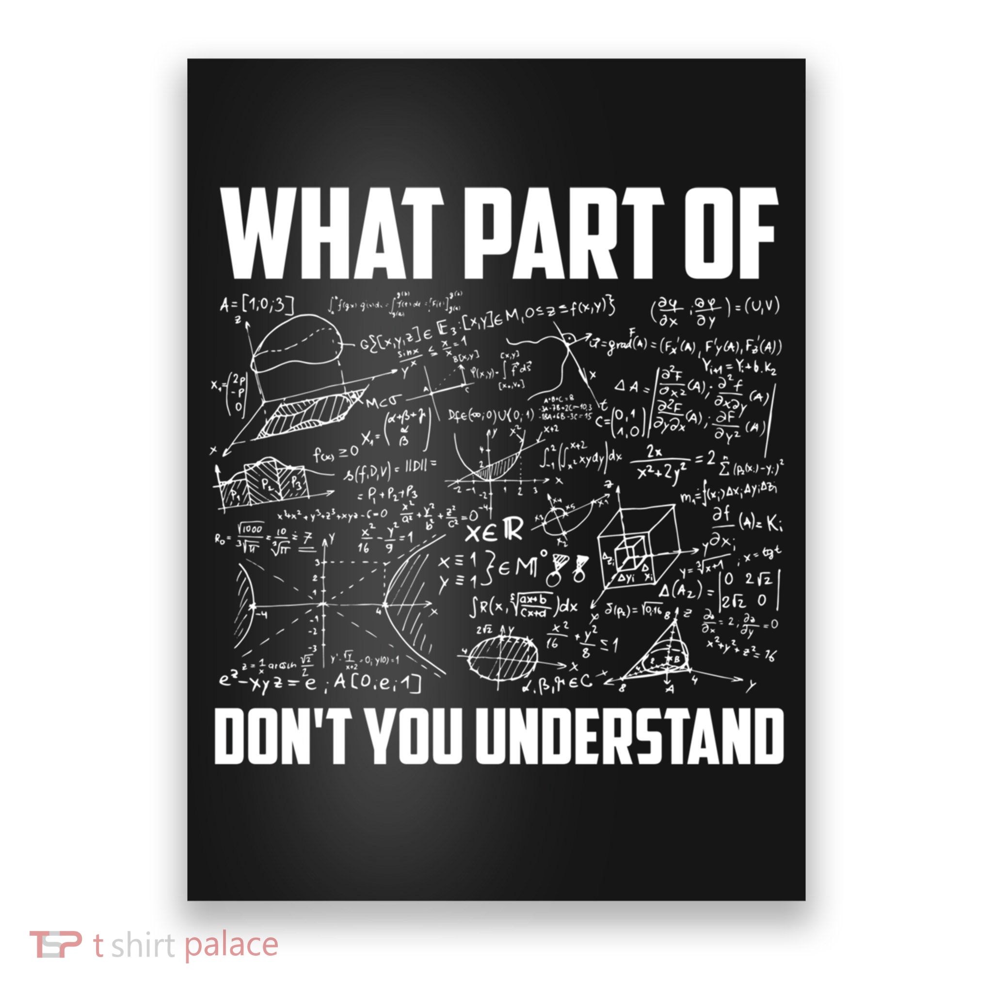 What Part Of Don't You Understand Funny Math Teacher Gift Poster