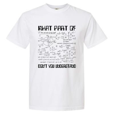 What Part Of Don't You Understand Funny Math Gift Meaningful Gift Garment-Dyed Heavyweight T-Shirt