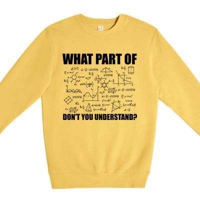 What Part Of Don't You Understand Funny Math Teacher Gift Premium Crewneck Sweatshirt