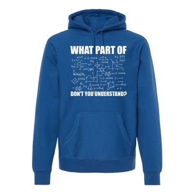 What Part Of Don't You Understand Funny Math Teacher Gift Premium Hoodie