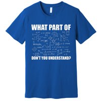 What Part Of Don't You Understand Funny Math Teacher Gift Premium T-Shirt