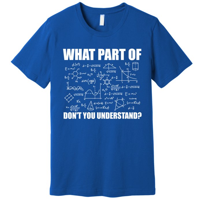 What Part Of Don't You Understand Funny Math Teacher Gift Premium T-Shirt