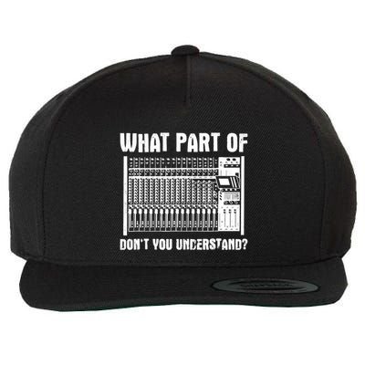 What Part OF You Understand Sound Engineer Sound Guy Wool Snapback Cap