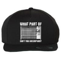 What Part OF You Understand Sound Engineer Sound Guy Wool Snapback Cap