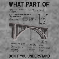 What Part Of DonT You Understand Civil Structural Engineer 7-Panel Snapback Hat