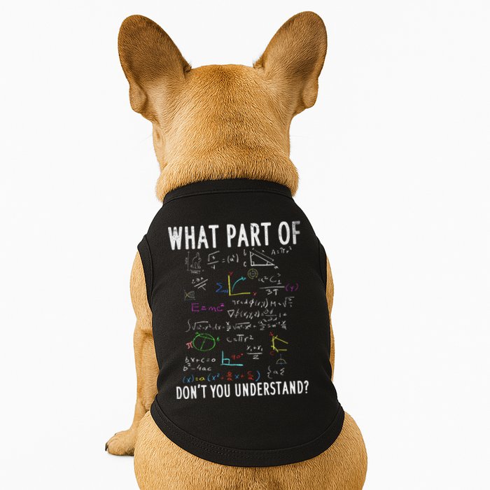 What part of don't you understand for math teacher Doggie Tank
