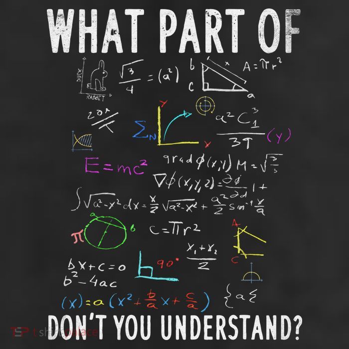 What part of don't you understand for math teacher Beanie