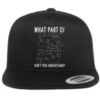 What part of don't you understand for math teacher Flatbill Hat