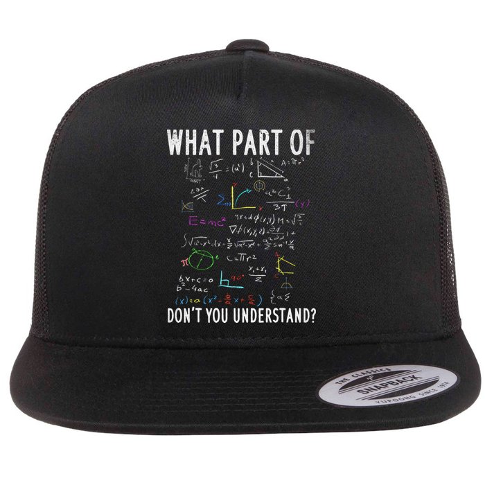 What part of don't you understand for math teacher Flatbill Hat