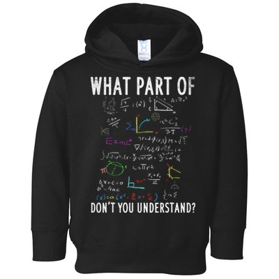 What part of don't you understand for math teacher Toddler Hoodie