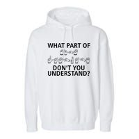 What Part Of Don’T You Understand Garment-Dyed Fleece Hoodie